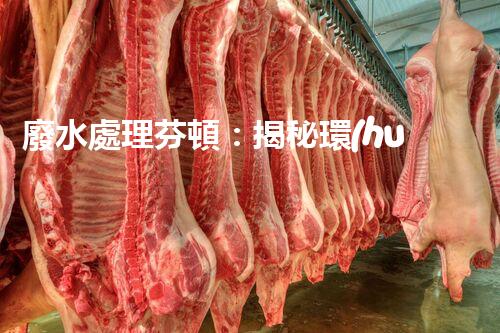 廢水處理芬頓：揭秘環(huán)保利器，拯救地球的終極奧秘！